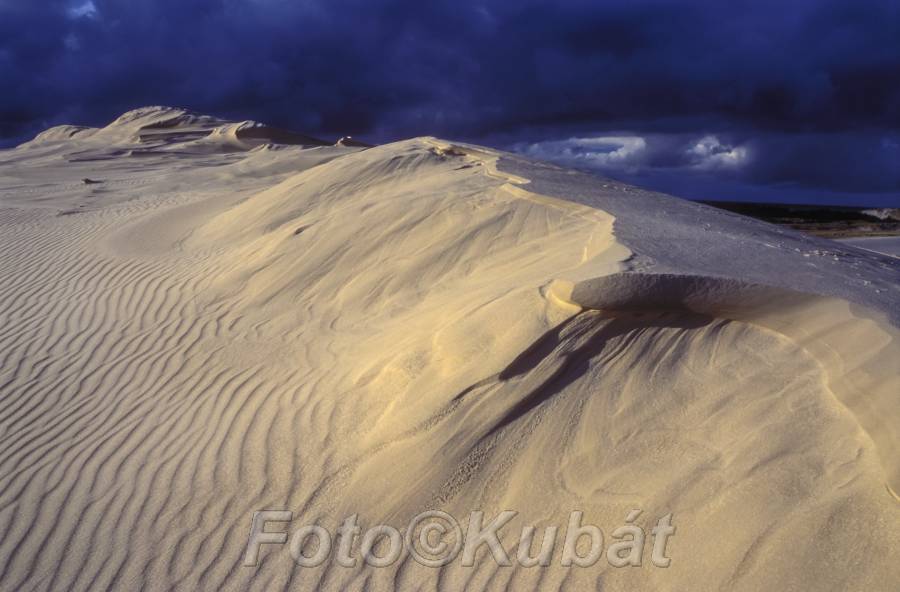 Písečné duny 21.jpg